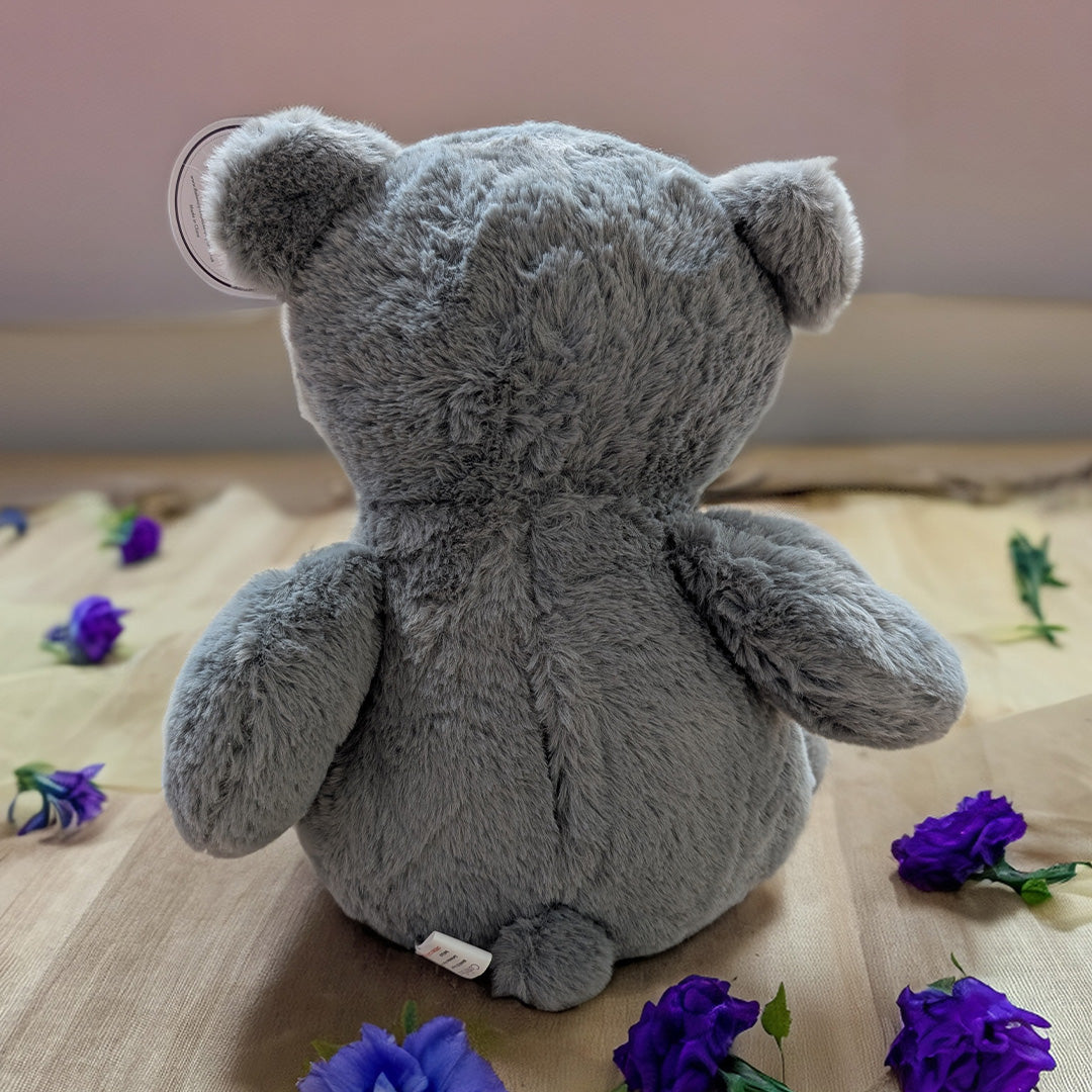 Grey Teddy Bear - Soft & Cuddly Plush -  30cm when sat