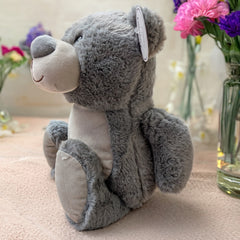 Grey Teddy Bear - Soft & Cuddly Plush -  30cm when sat
